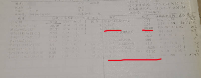 再生障碍性贫血患者中西医结合治疗后重获新生_郝其军_血象_骨髓