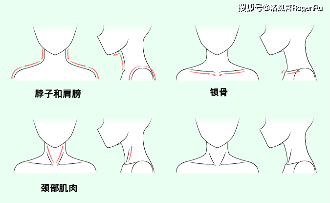 第 1 步 画出颈部和肩部动漫的脖子通常比真实的脖子更纤细(尤其是