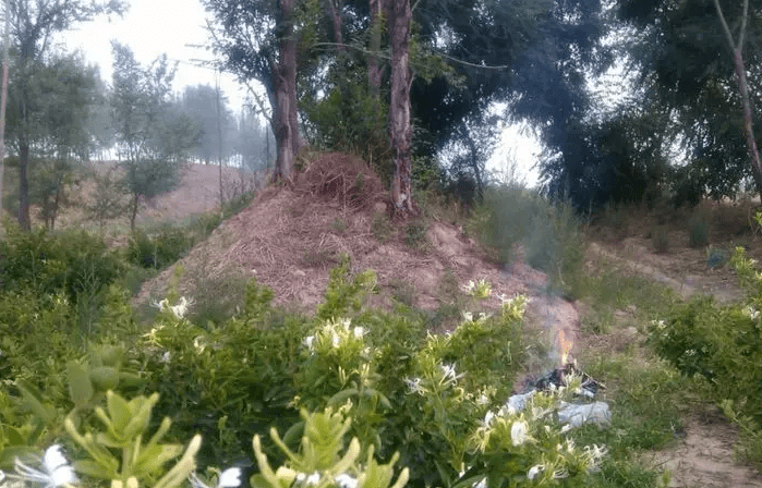 上坟路 来自搜狐网