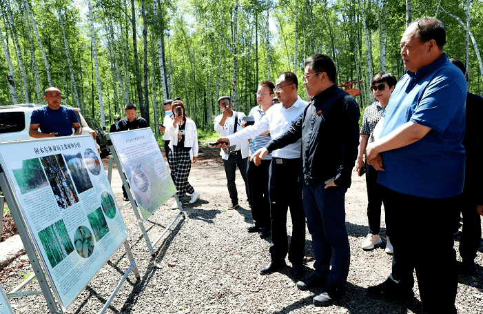 华大集团首席执行官尹烨深入北极岛景区考察