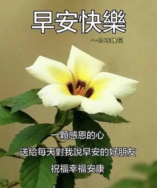 晨安短信问候祝愿大全