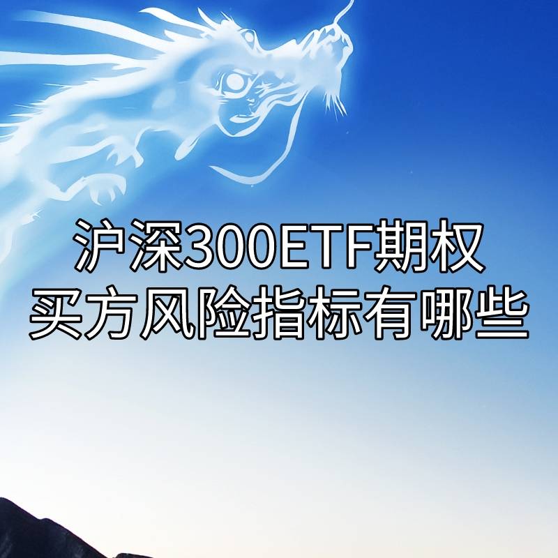 你晓得沪深300ETF期权的买方风险目标有哪些吗？