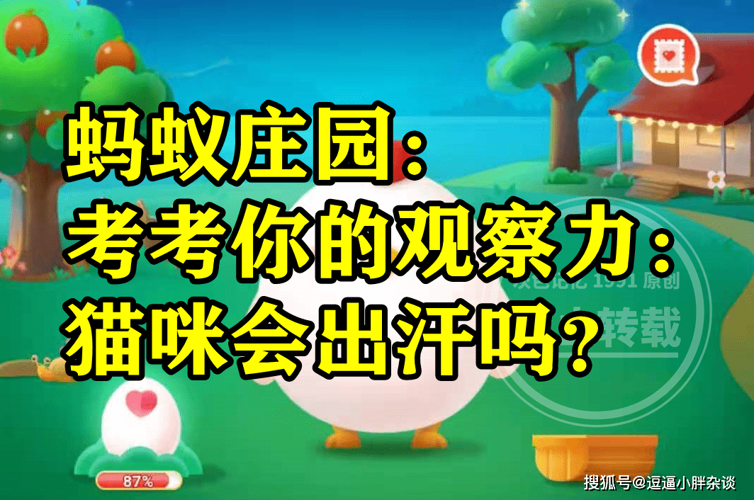 考考你的察看力猫咪会不会出汗呢？蚂蚁庄园谜底