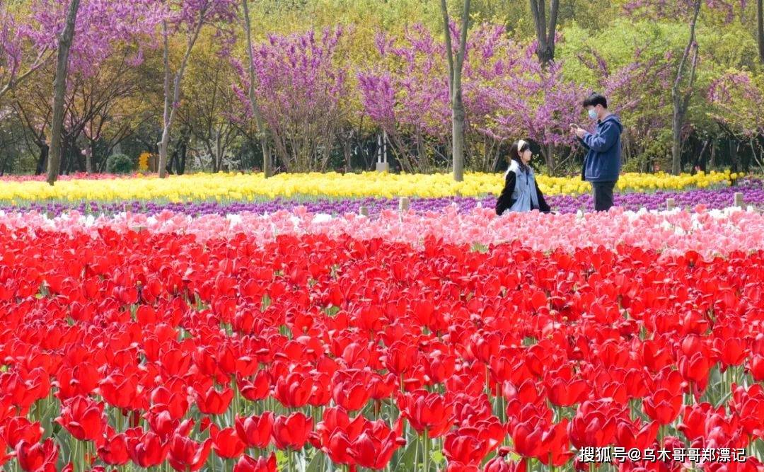 3月18日郑州绿博园问花节美意启幕！