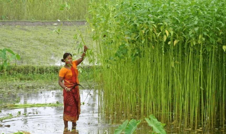 那就是美国人的嘴脸：为了时髦想坑害中国，污染其他国度不算污染