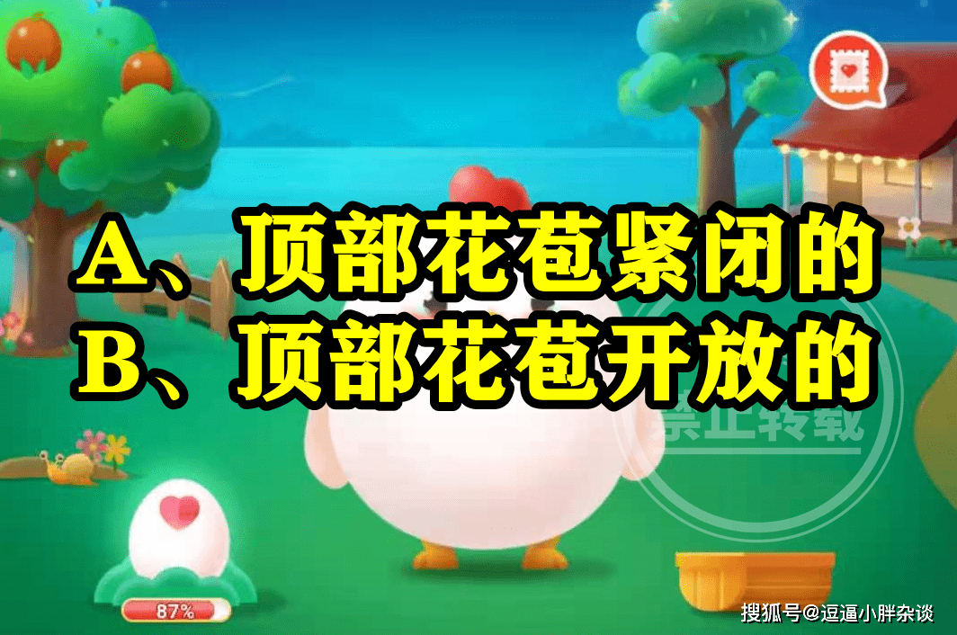 什么样的芦笋口感更好是顶部花苞开放的吗？蚂蚁庄园谜底