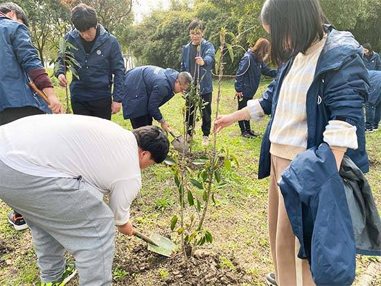 上海党日活动一日游长兴岛桔园植树拓展主题活动