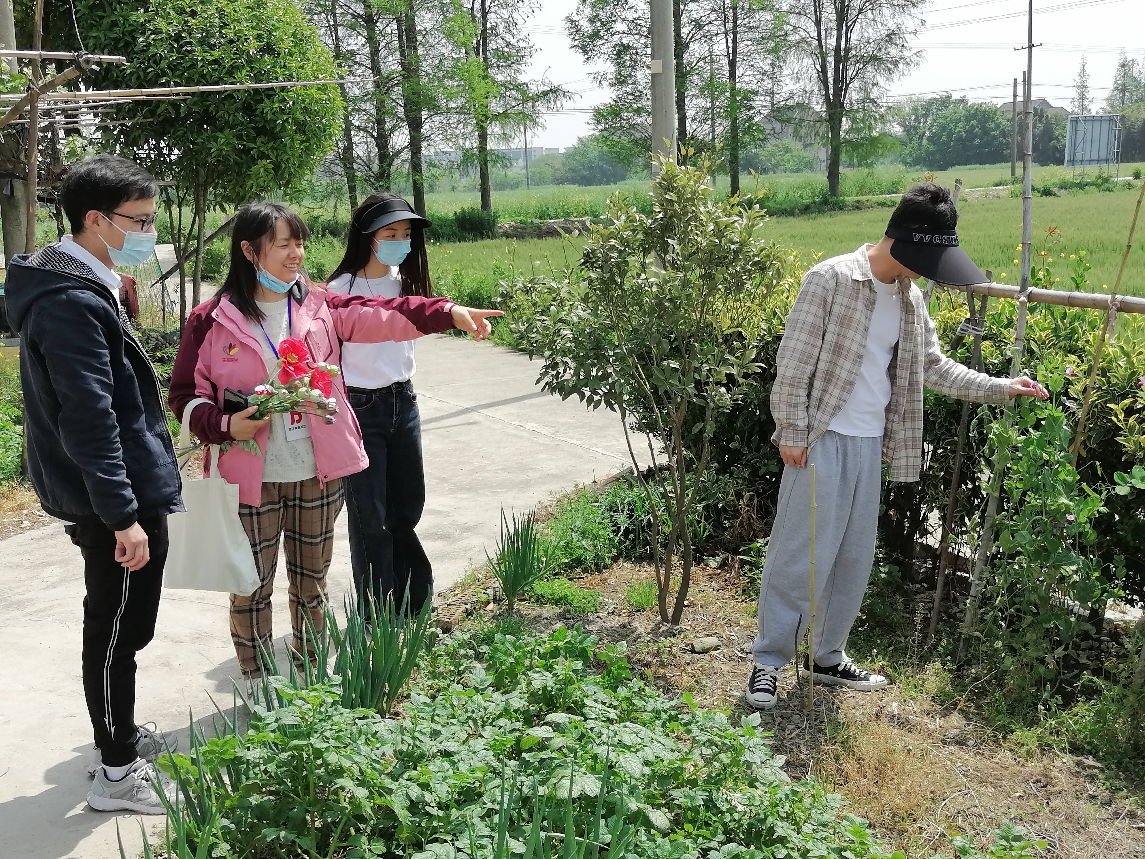 阳春四月好时节 禁种踏查合理时