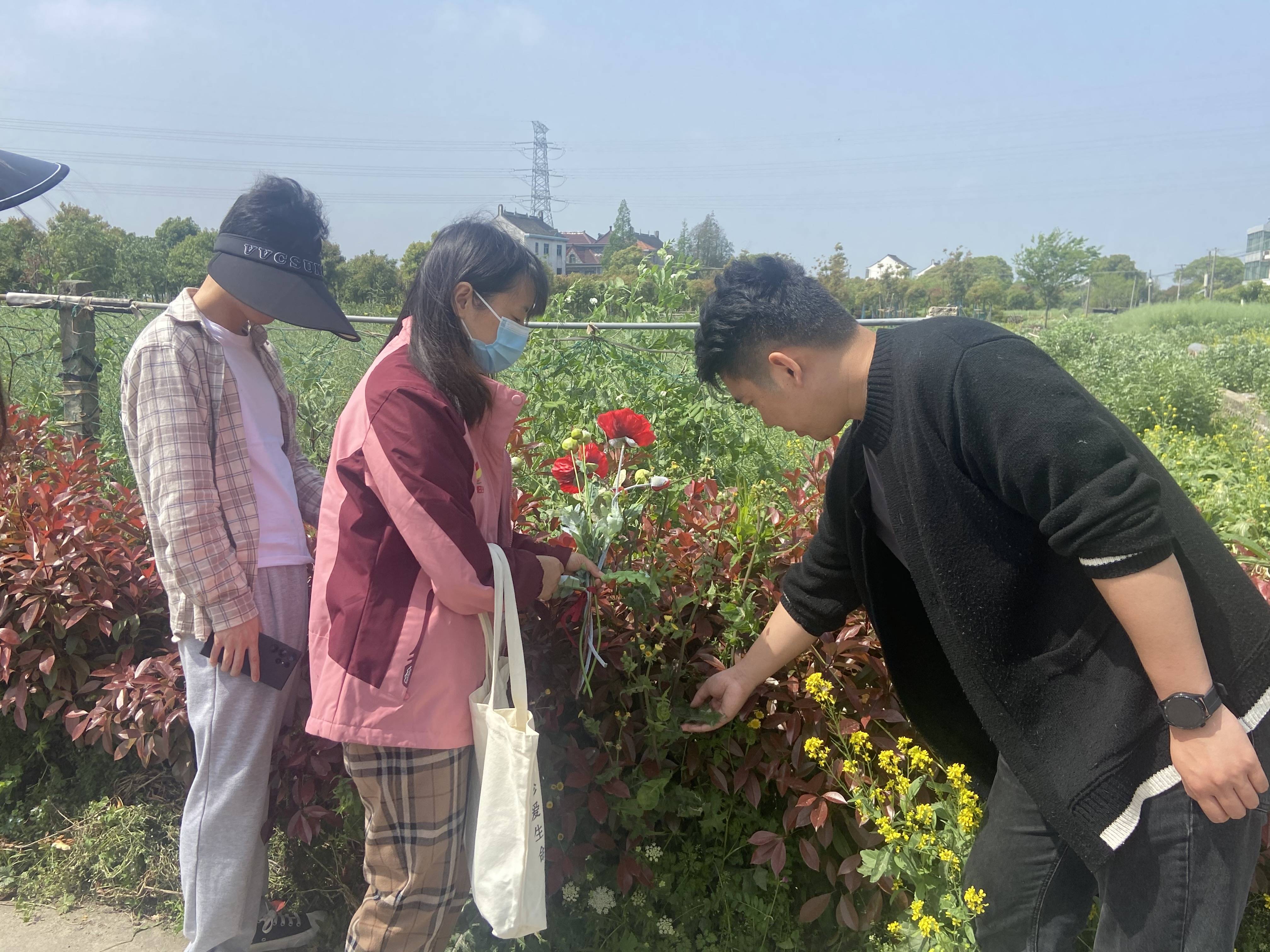 阳春四月好时节 禁种踏查合理时