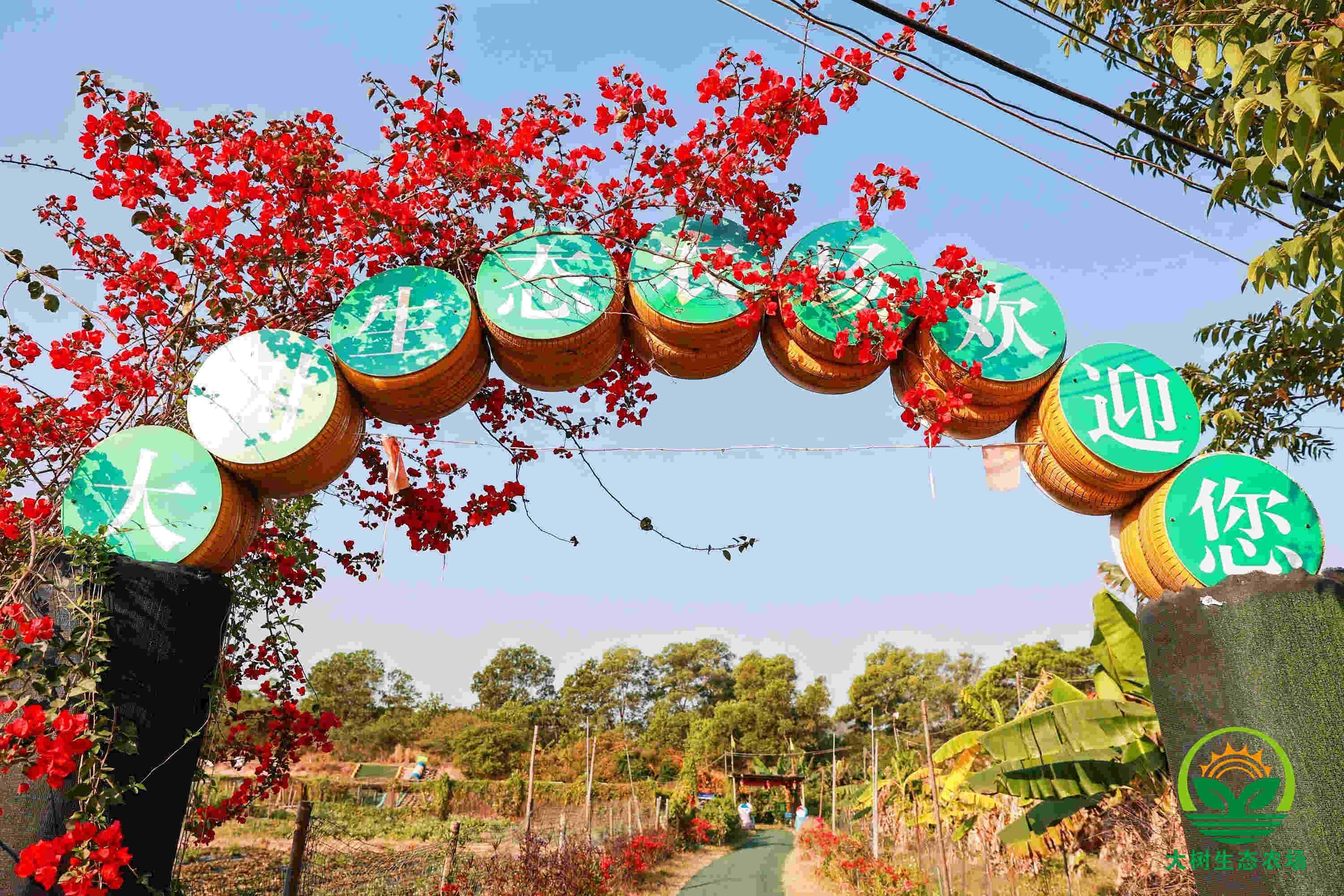 开云体育 开云平台深圳农家乐夏季园游会周末出游好去处