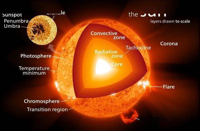 太阳结构示意图(引自wikipedia commons/kelvinsong)