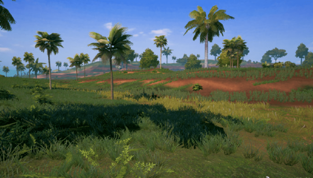 怎么样才能找到雨林 ca16bb56cb064f20b6c51458c76d164c.png