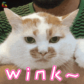 新加坡ins女画家的激萌手绘,可爱到每一张都能做头像!