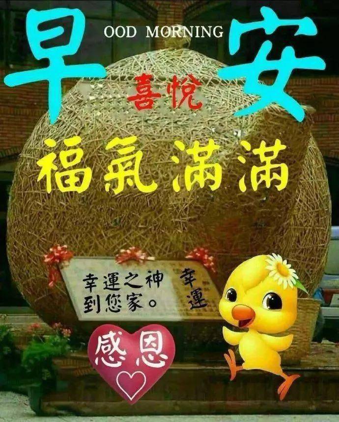 6月3日最漂亮早上好动态表情图片大全,早晨好动图美图