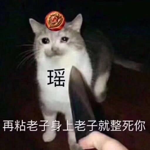 阿瑶为你痛哭王者瑶表情包