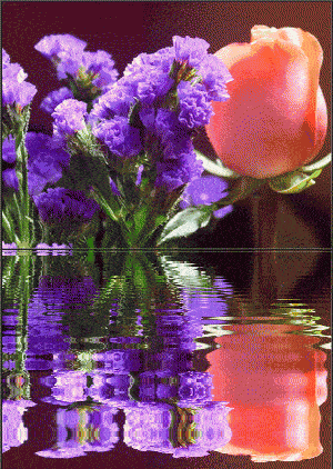 300_422 竖版 竖屏