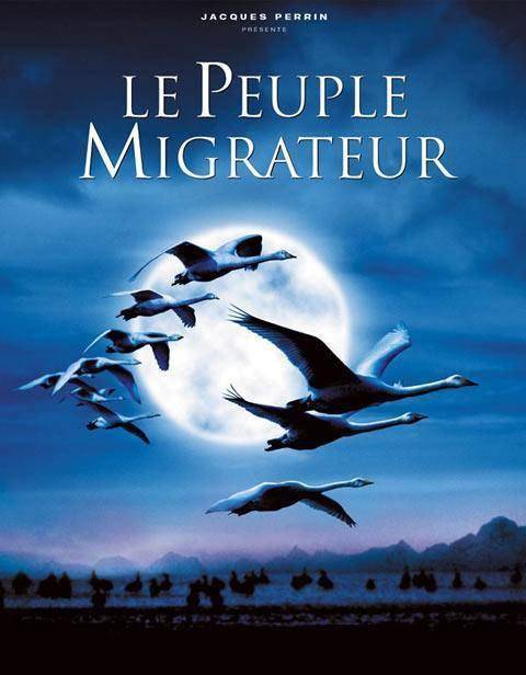 领航纪录片全集 6514ebdb522348b98ad97a9b24db6874.jpeg