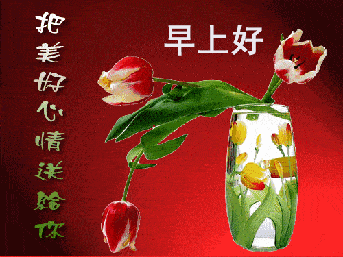 人心,不是一朝一夕就会热;感情,不会三言两语就会有,早安