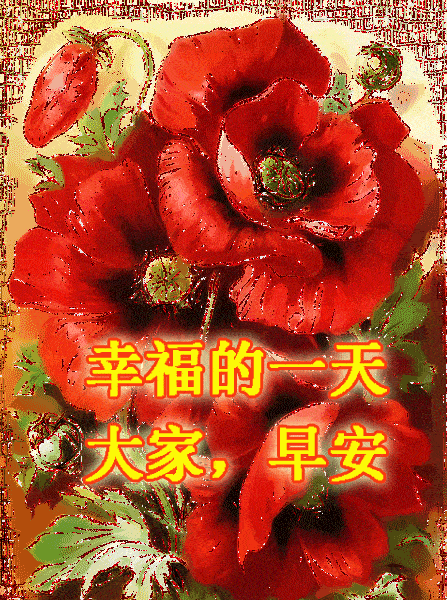447_600竖版 竖屏gif 动态图 动图