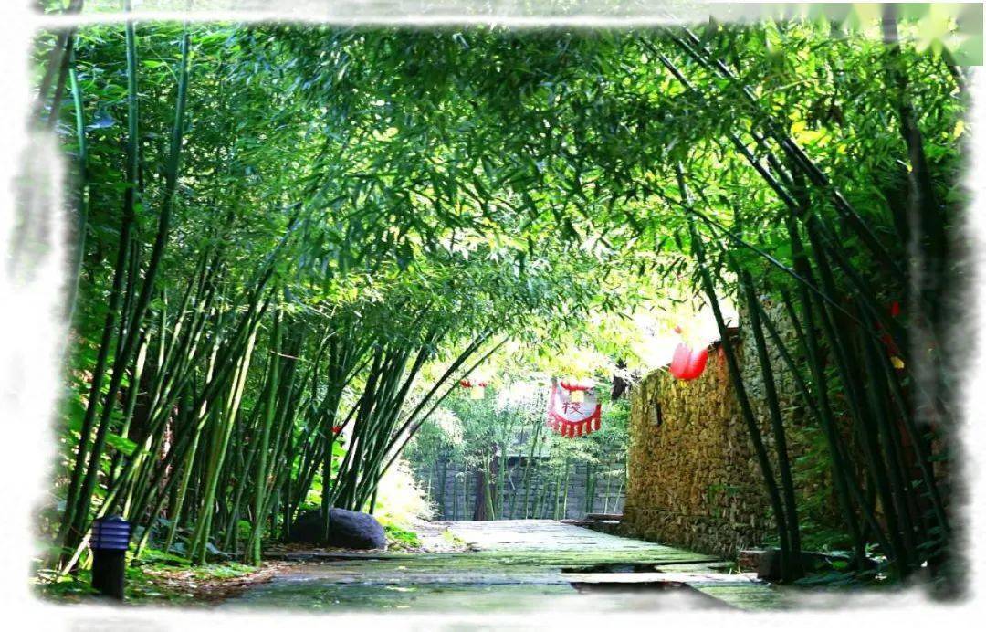 3,竹泉村:竹林景观与农家风情并融的世外桃源.