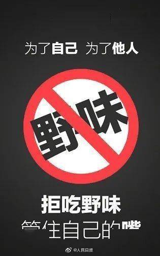 永春警方抓获一名非法捕猎野生动物嫌疑