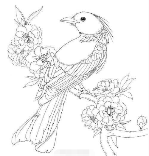 白描的鸟与花