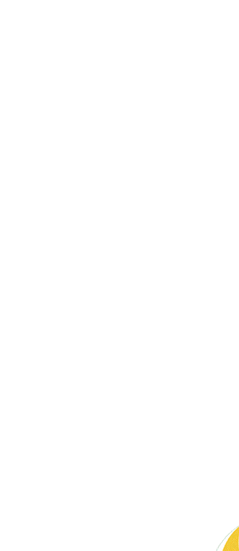 347_800 竖版 竖屏