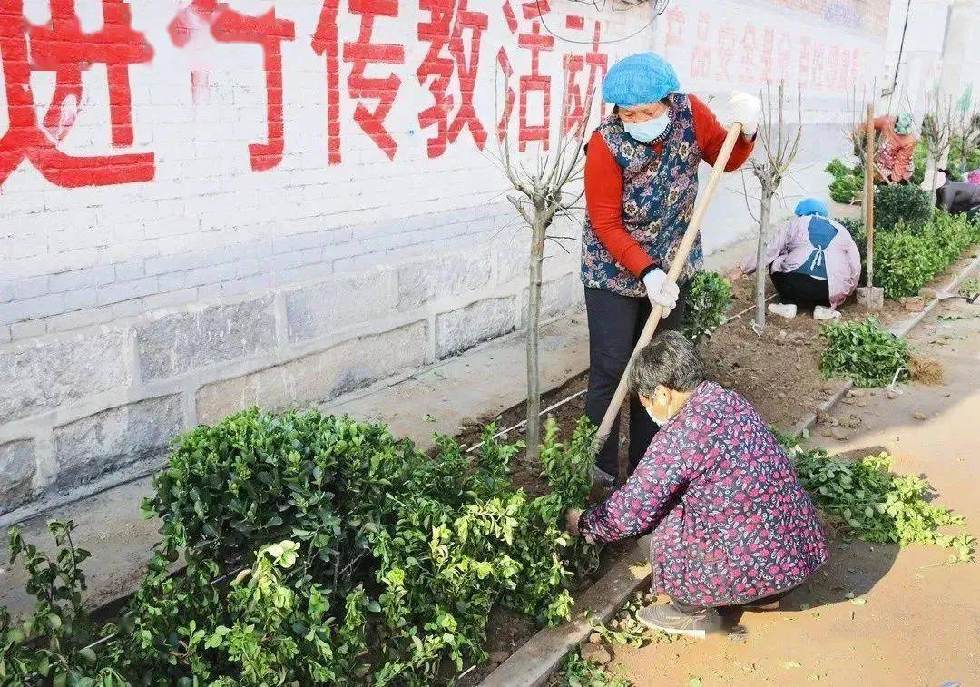 扎实推进农村环境卫生综合整治：以深入实施乡村振兴战略，建设生态宜居