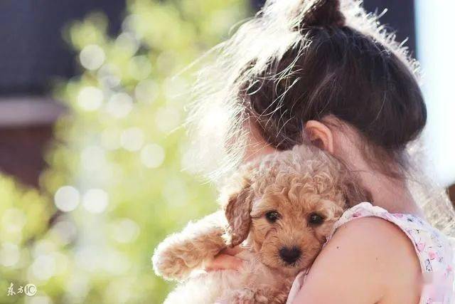 怎么才能让狗狗快速记住他的名字 4f47abd1d0ce46999912f224014abf92.jpeg