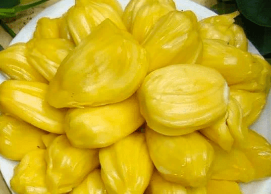 菠萝蜜的籽怎么煮才好吃 7fac6c7d55314593b0df92bf5f5babd6.png