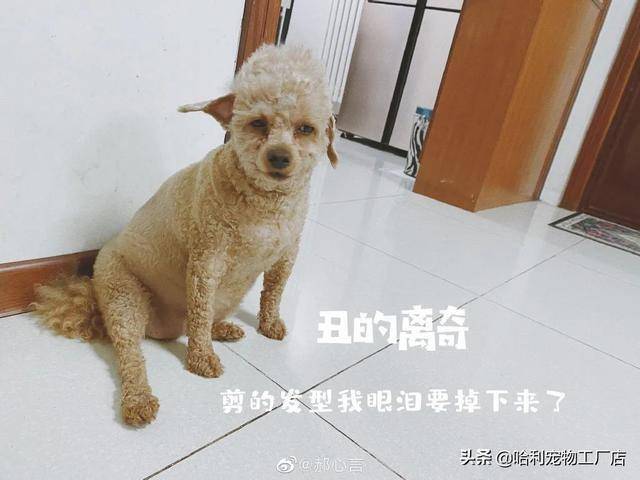 c7c693ba5723415880860435197be044.jpeg