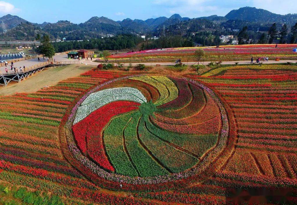 羊昌花画小镇