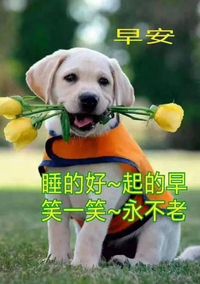希望每一个你的未来,都是幸福的,快乐的,充满希望的,早安