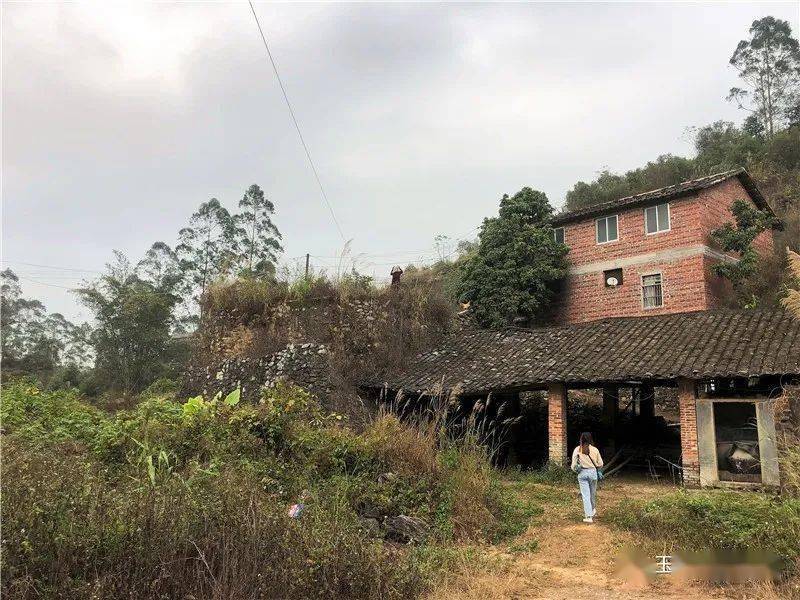 博白凤山有个龙城村,它有着这样的由来