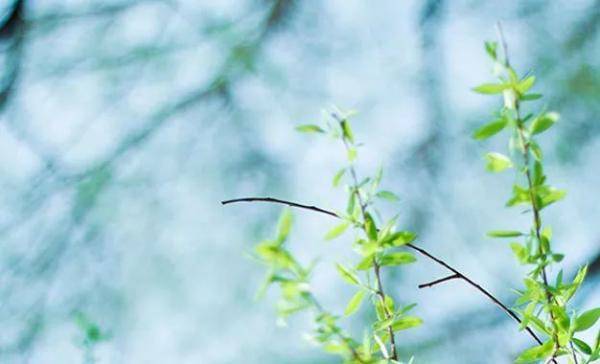 奇葩 | 渑池一男子趁出租车司机不备开着就跑…