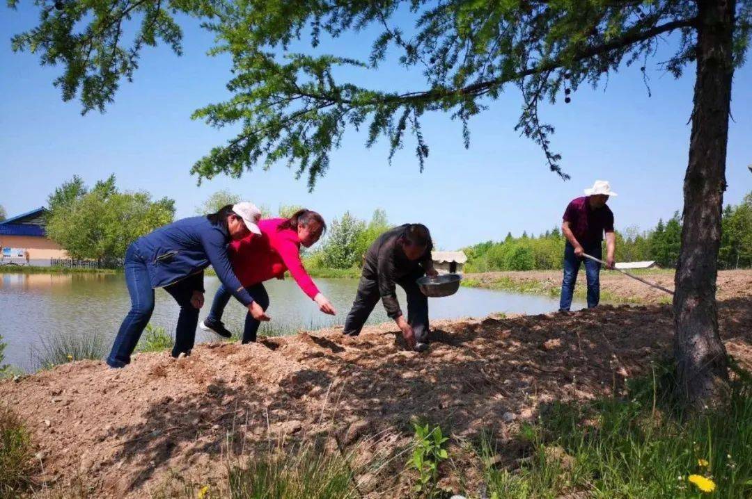 抚松县东岗镇经济总量_抚松县松江河镇规划图(2)