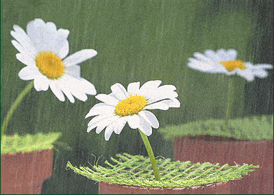 风雨人生,坦然面对!