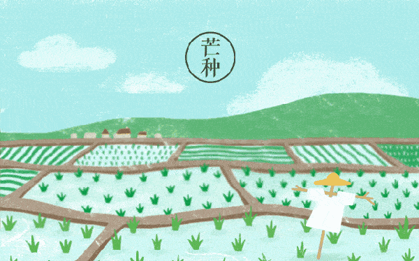 芒种,农历二十四节气中的第9个节气, 夏季的第三个节气,表示仲夏时节
