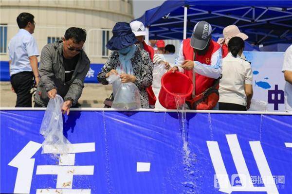 鱼苗|11.9万尾苗种回归大海！东营市民现场放鱼热情高涨