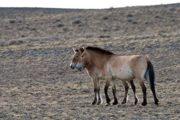 自然保护区|这一幅幅生命的画卷，好美！