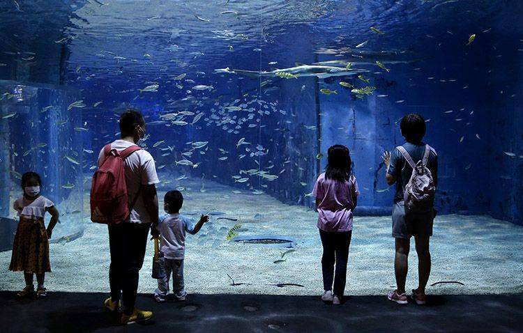 共享精彩瞬间 | 一周图片精选（组图）