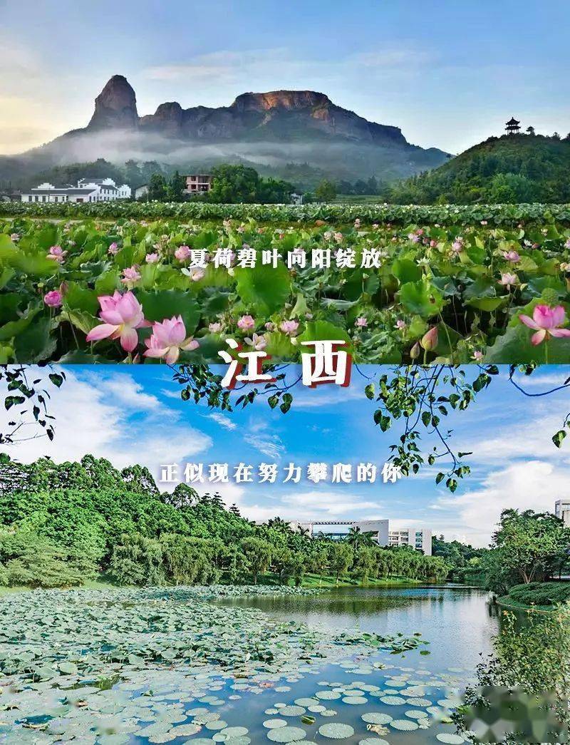 林世泉|梦想不延时华师在等你