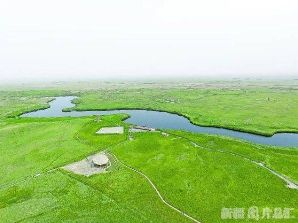 荒滩|天山守望 | 绿衣扮荒滩 沙里淘金忙