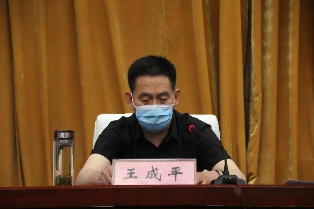 县政府副县长王成平主持会议并讲话.