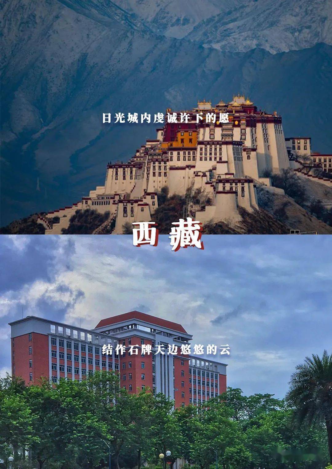 林世泉|梦想不延时华师在等你