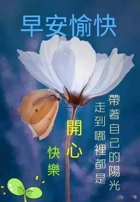 早上好表情图片祝福语大全 星期日早安祝福语和图片