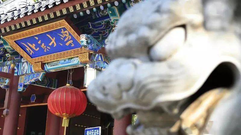 申报|如何精准备考面试？强基面试真经：申报完强基计划