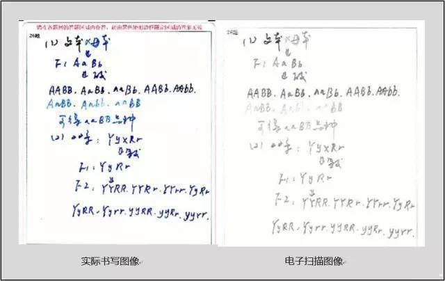 电脑|这对他们有用）中高考电脑阅卷流程是这样的！读完可多拿20分（转给考生