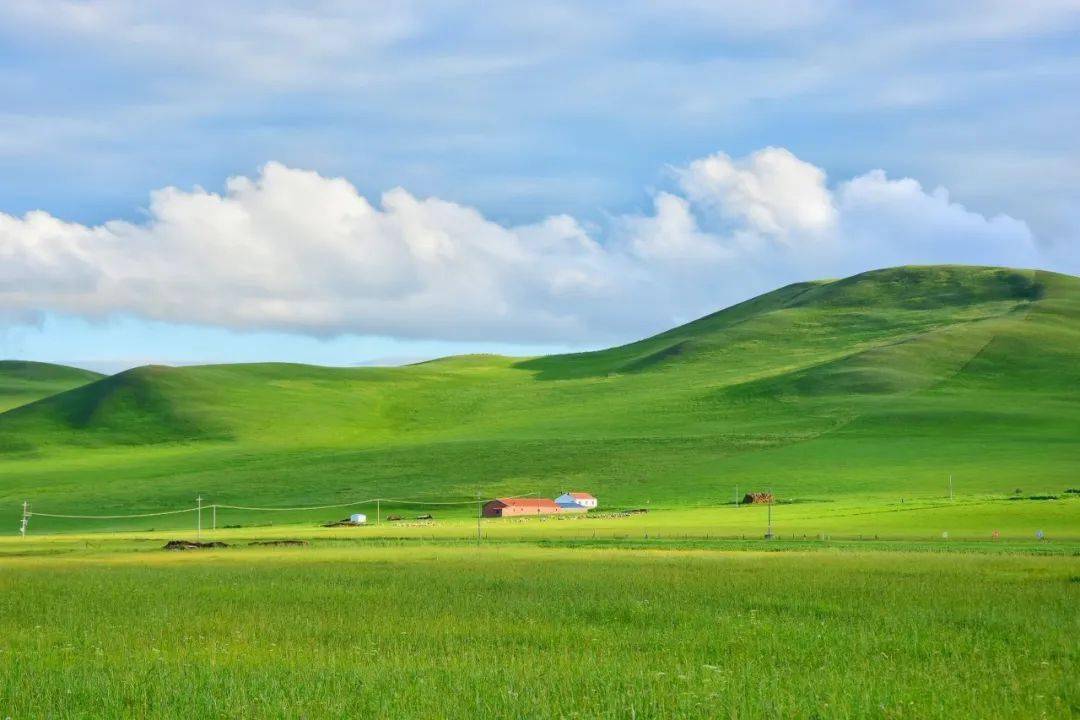 神舟游 | 一到夏天,内蒙古就"绿"了全世界!_草原