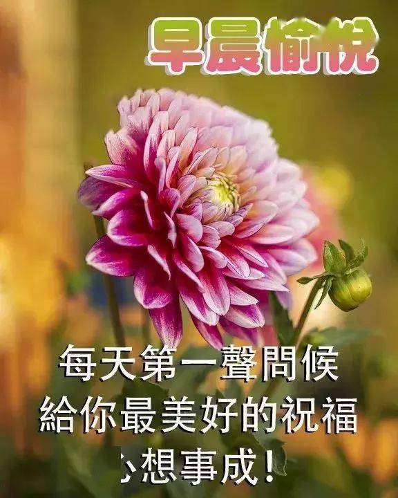 夏天早上好问候动态表情图片夏季早安带字图片带祝福语